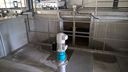 WP_20160407_10_45_13_Pro_LI.jpg
